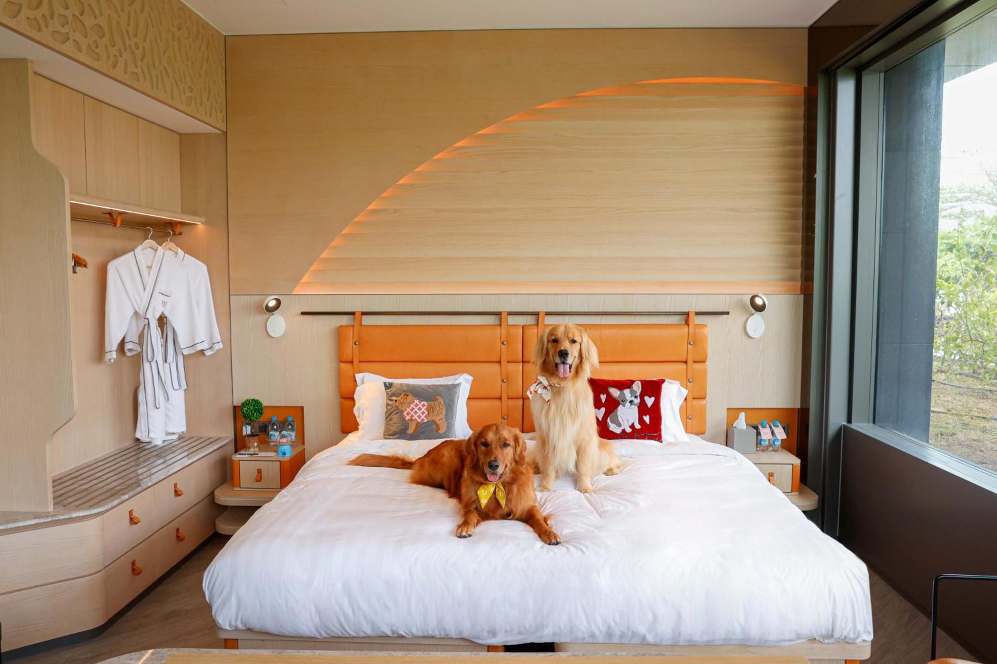 Wm Hotel Hong Kong, Vignette Collection Ngoại thất bức ảnh